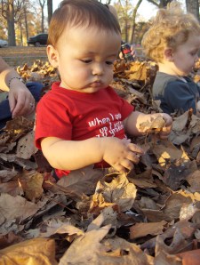 K & L in the leaves