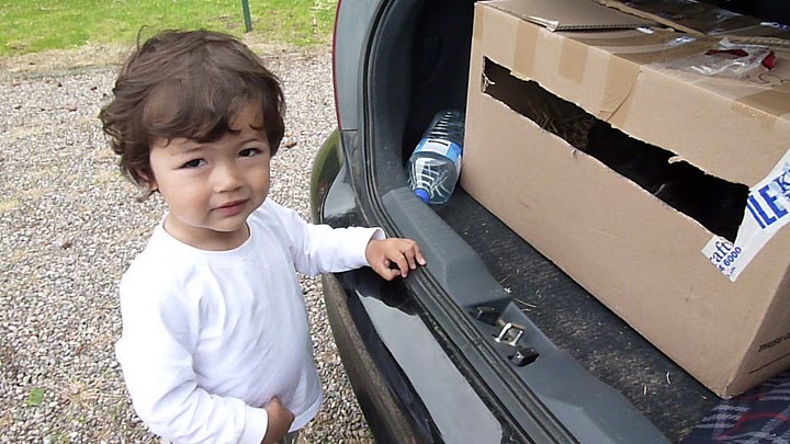 Some new chickens Mama!